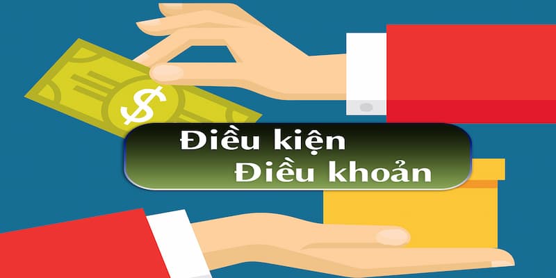 Điều kiện điều khoản tại sao cần hiểu rõ? 